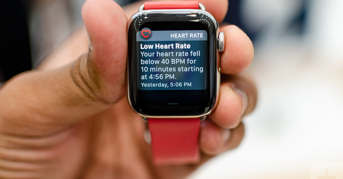 apple health and fitness features