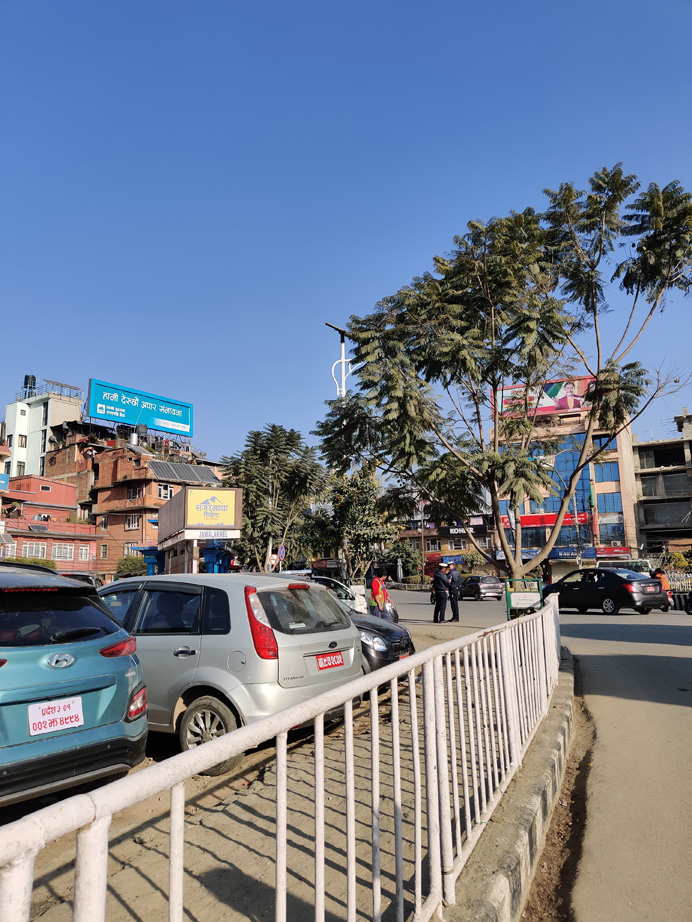 OnePlus 7T Normal Images Sample 4