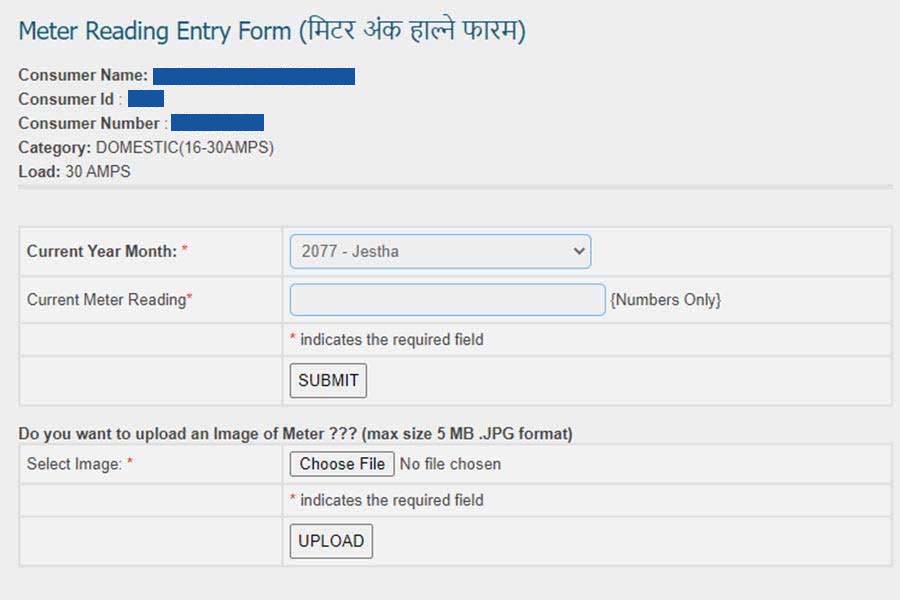 NEA - Meter Reading Entry Form Screen