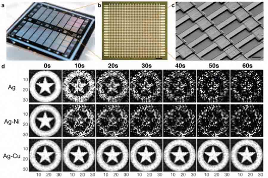 MIT brain on chip reproducing image captain america shield