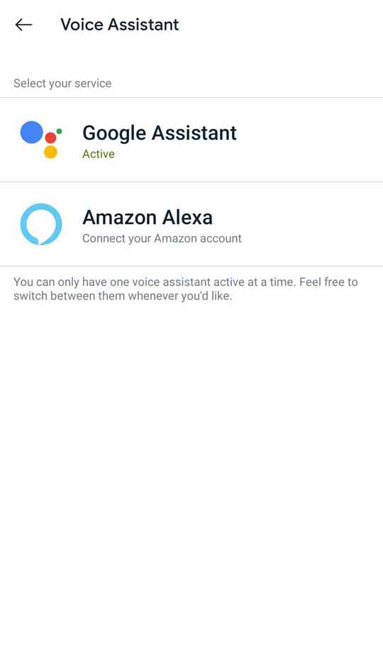 Fitbit App - Voice Assistant