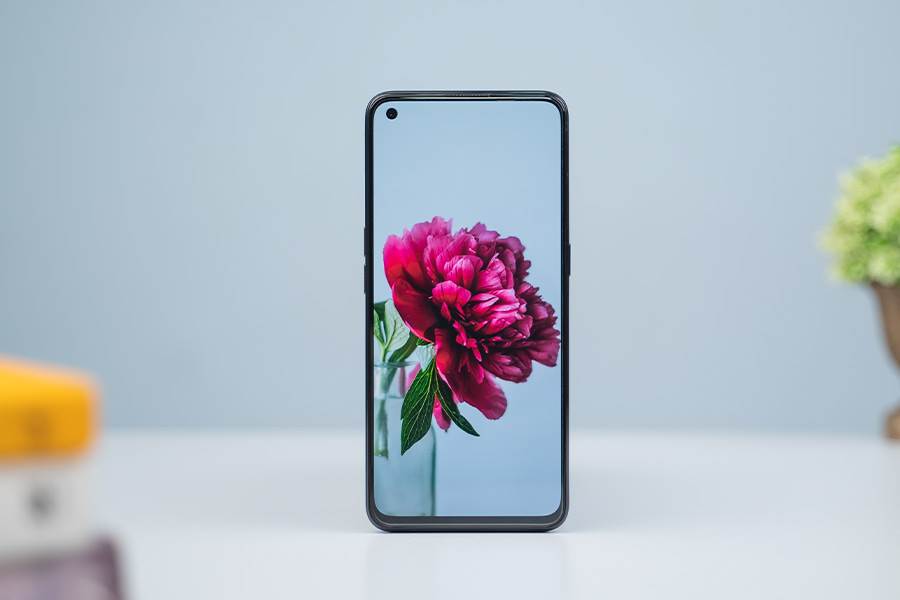 OnePlus Nord CE 5G - Display
