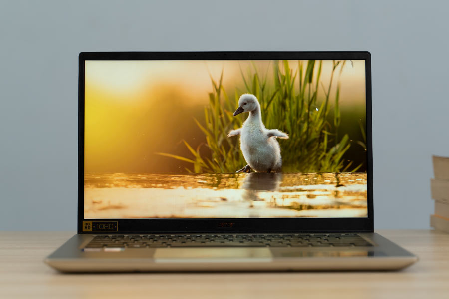 Acer Swift 3X Display