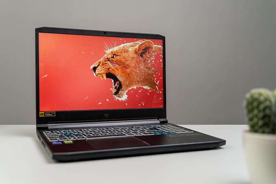 Acer Predator Helios 300 2021 - Display 2