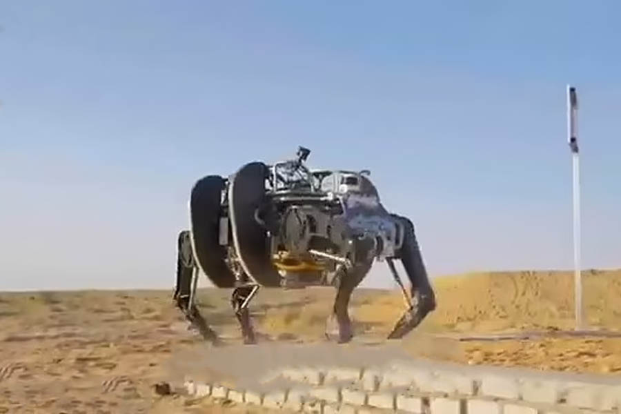 Mechanical Yak Robot on sand