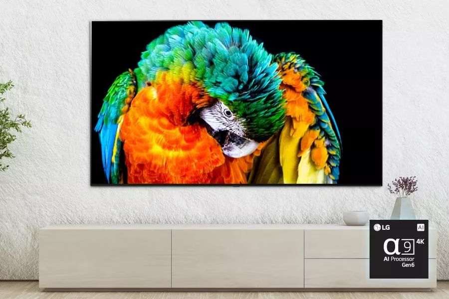 LG C3 OLED TV Display