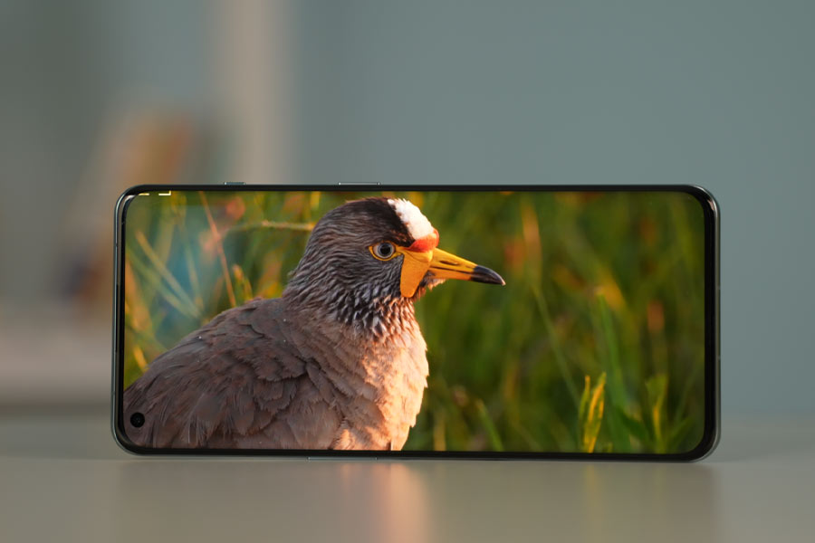 OnePlus 11 Display-1