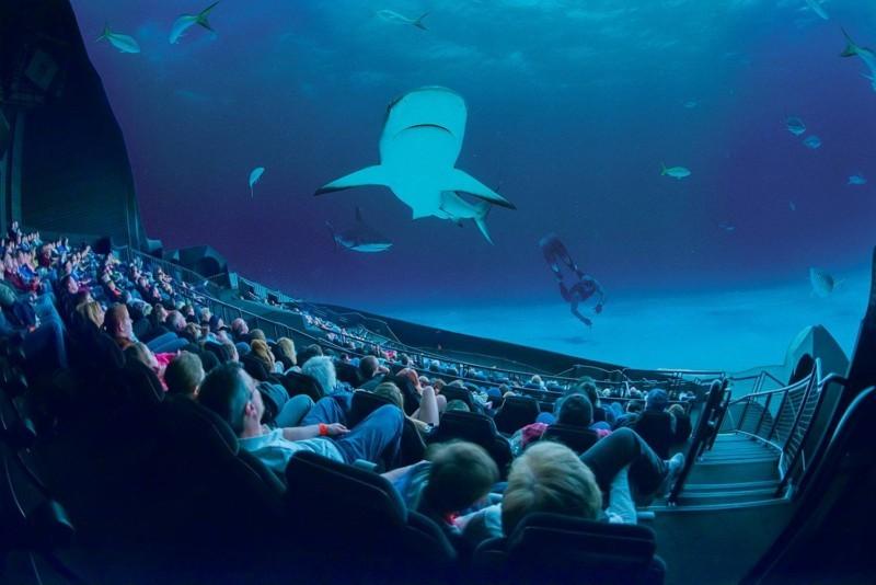 IMAX theatre with audience