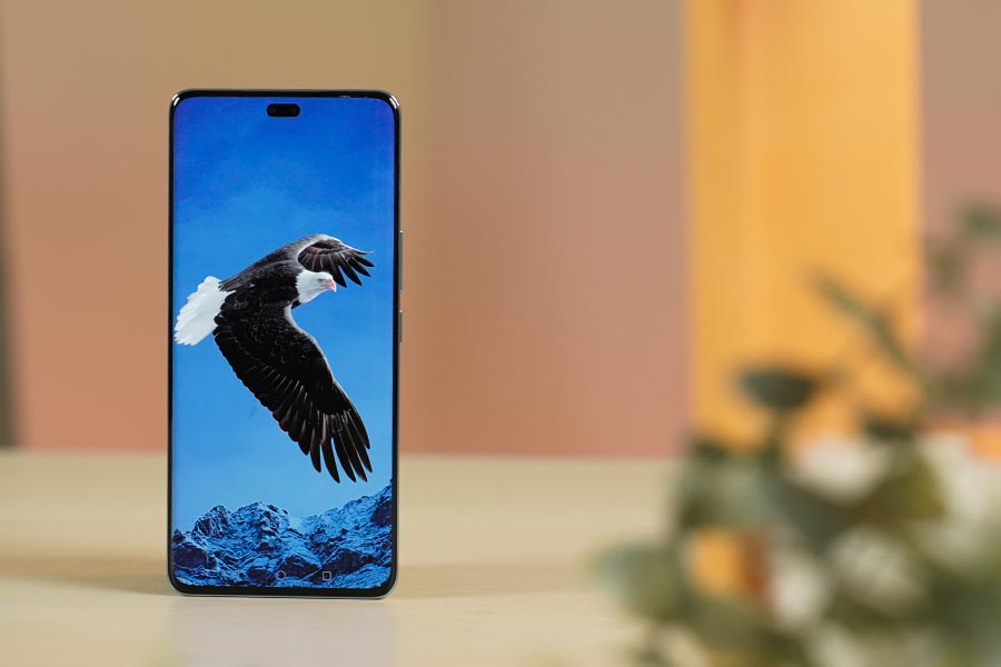 Honor 200 Pro display 