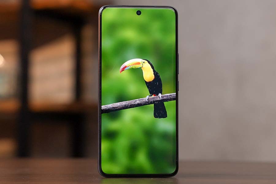 vivo v60 display