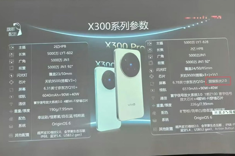 vivo x300