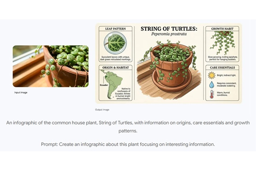 Nano-Banana-Pro-features Nano Banana Pro Availability and Access