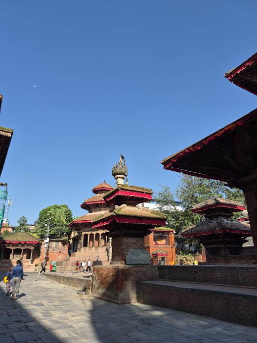 Samsung Galaxy S25 FE Daylight 1